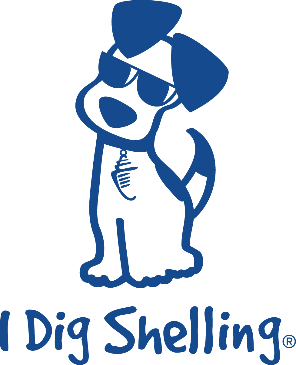 7 Tips for PetFriendly Travel & PetFriendly Vacations Royal Shell