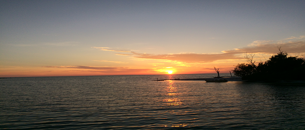 Sunset Island Background Royale High Beach House