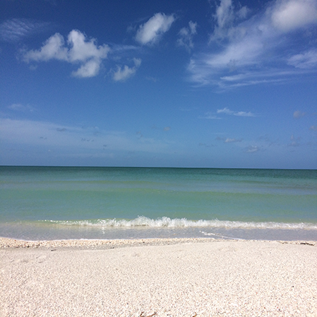Sanibel Island Vacation Rentals Royal Shell