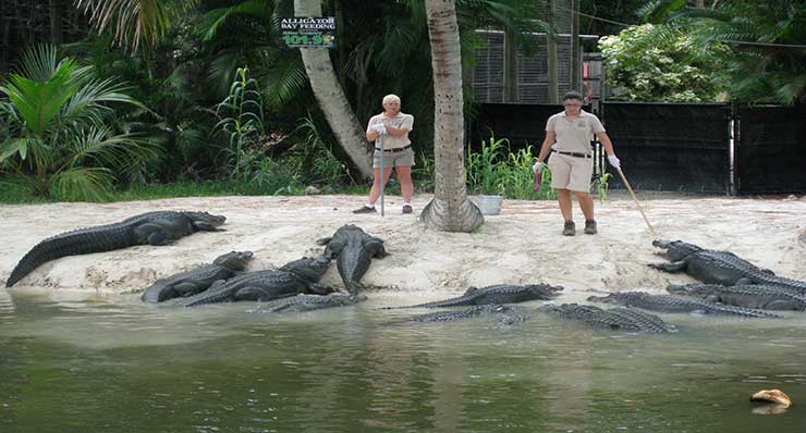 Naples Zoo at Caribbean Gardens