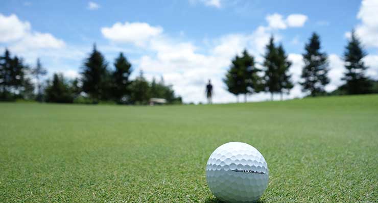 Other Notable Golf Courses in or near Naples, Florida