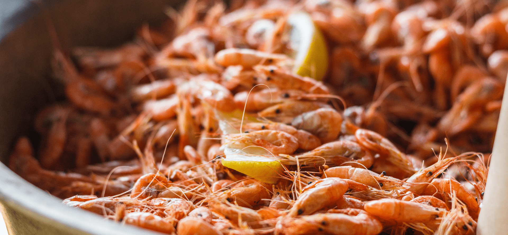 Your Guide to the Fort Myers Beach Shrimp Festival