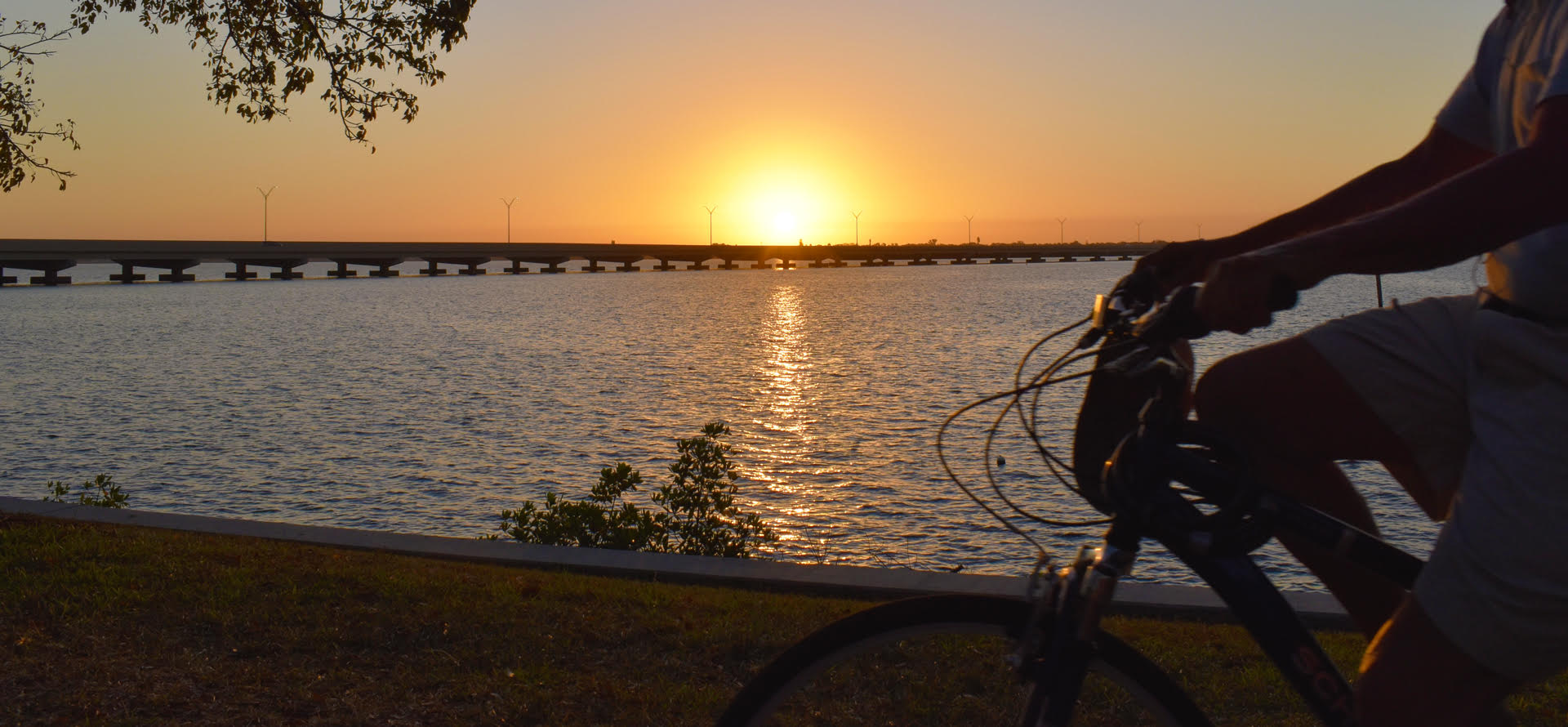 Things To Do - Cape Coral - Biking