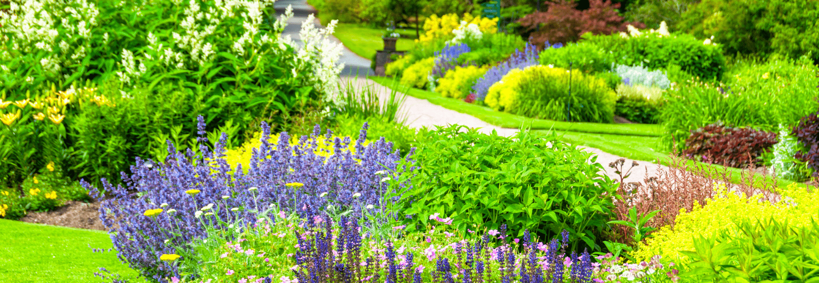 At Naples Botanical Garden, Florida Blooms