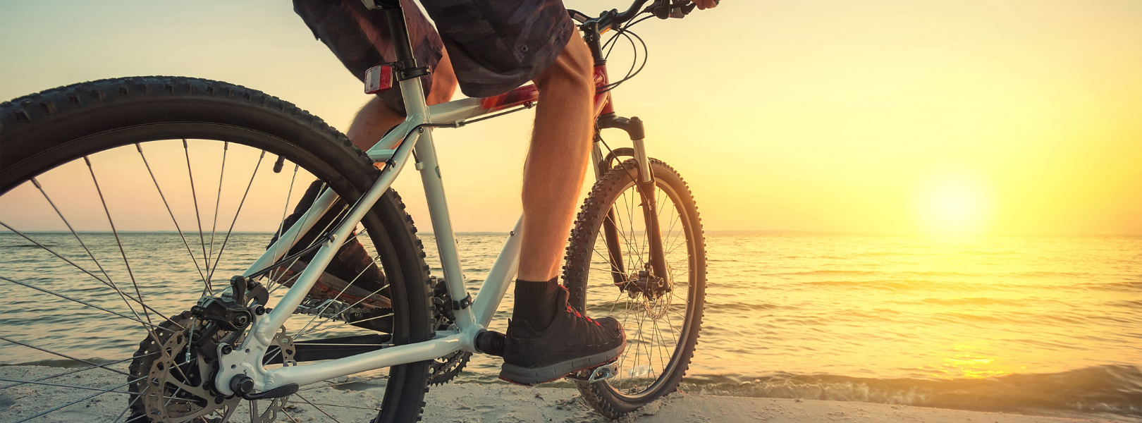 Things to Do - Bonita Springs - Biking - hero images