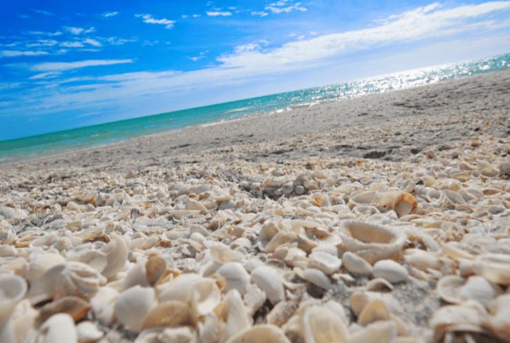 What is Sanibel Island Known for Today?
