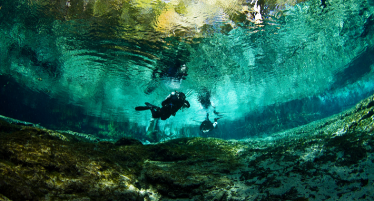 Ginnie Springs