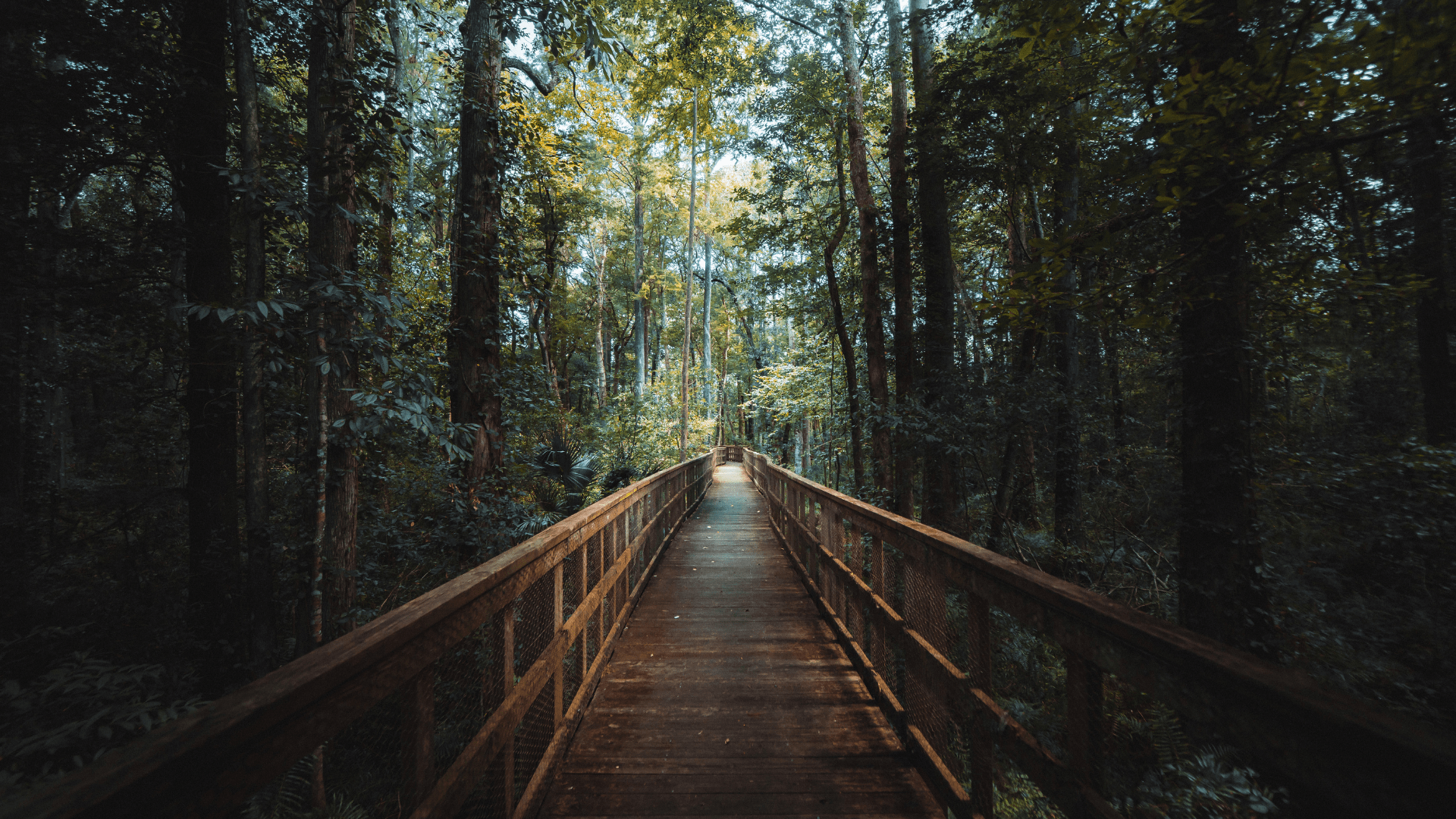 Cool Off at the Best Natural Springs in Florida