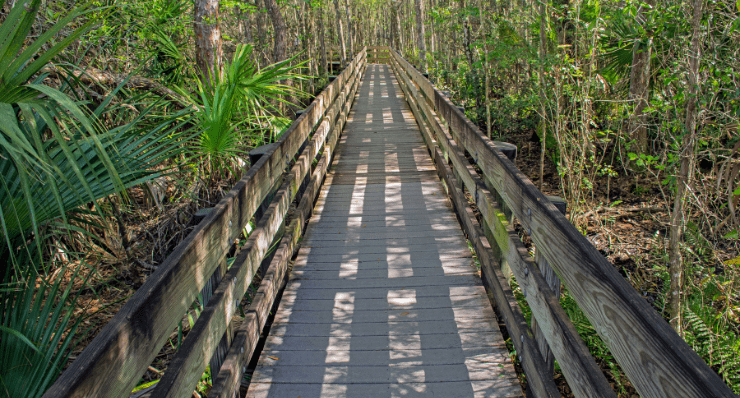 Six Mile Cypress Slough Preserve