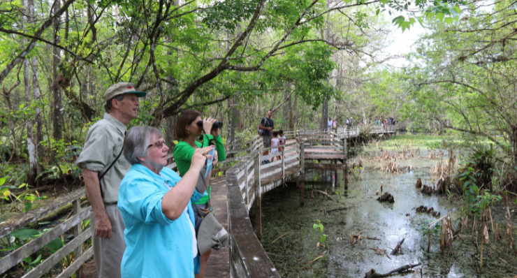 Corkscrew Swamp Sanctuary