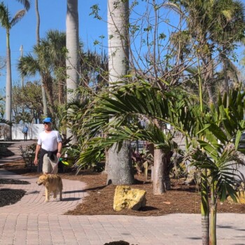 Captiva Andy Rosse 4