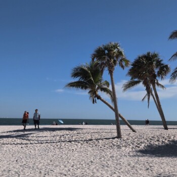 Sanibel Beach Walkers