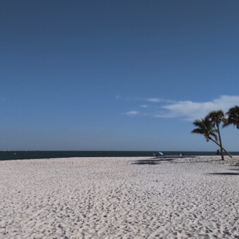 Sanibel Palms and Beach