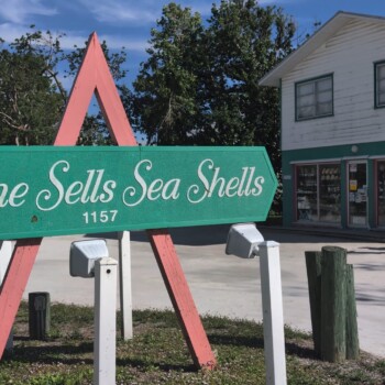 Sanibel She Sells